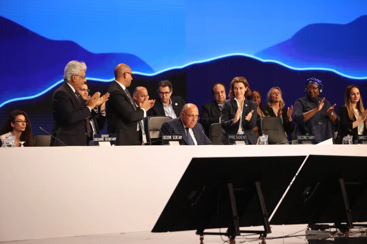 COP27-Closing-Plenary (1)