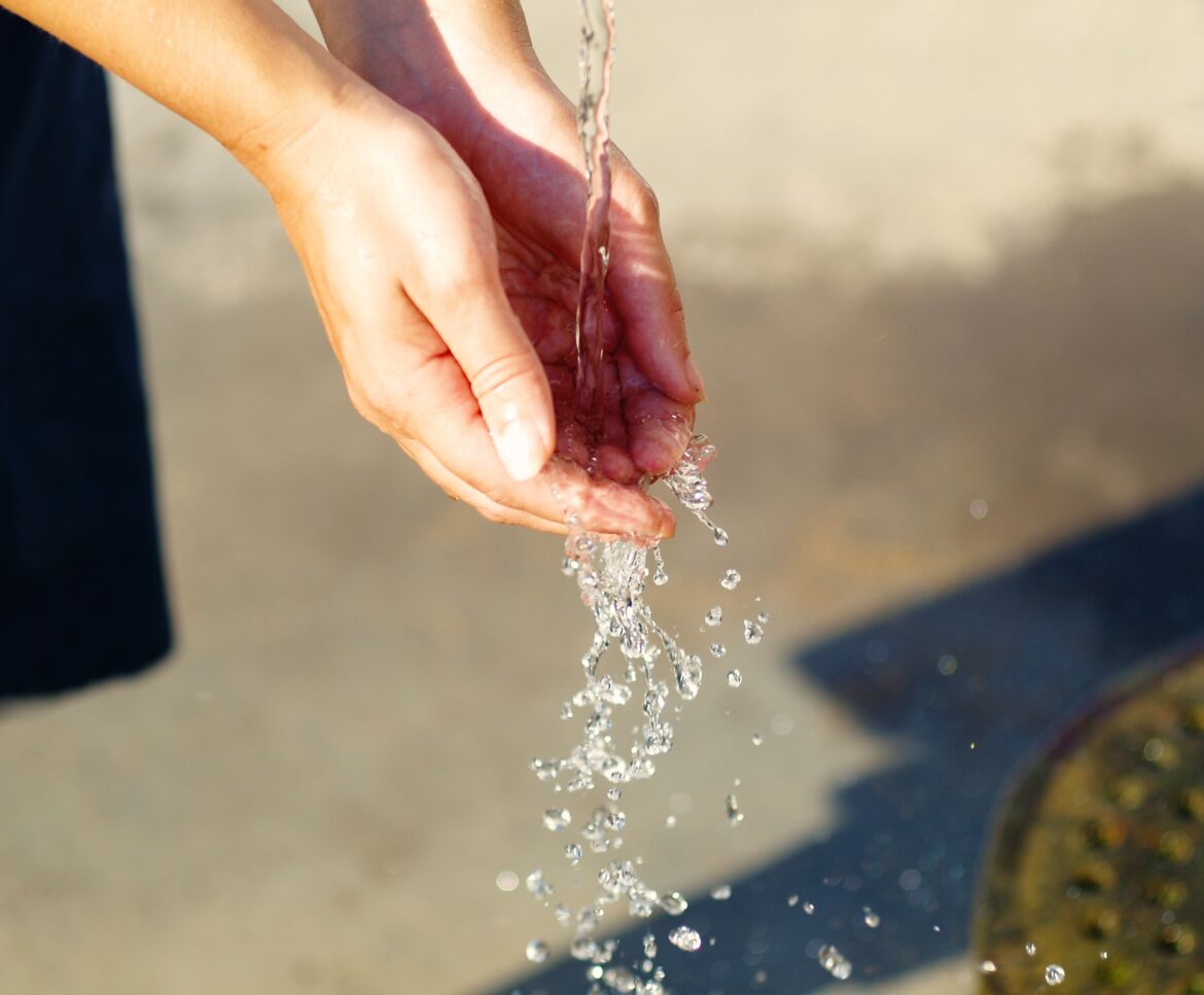 Water potential Water potential