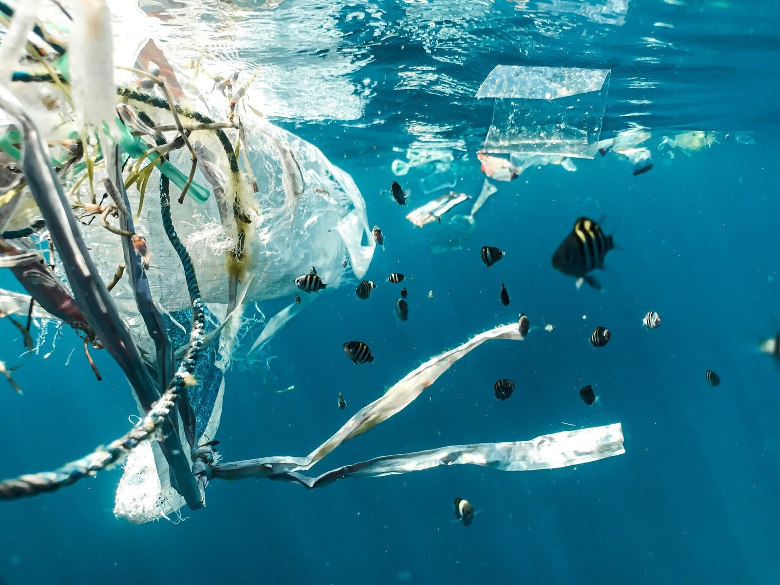 Fishing crews to blame for much of the plastic in the world's oceans,  Greenpeace says