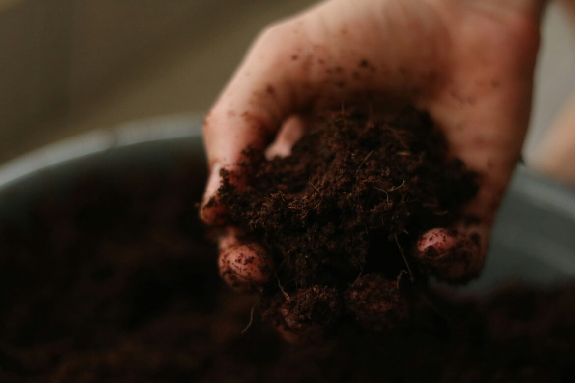 Soil monitoring
