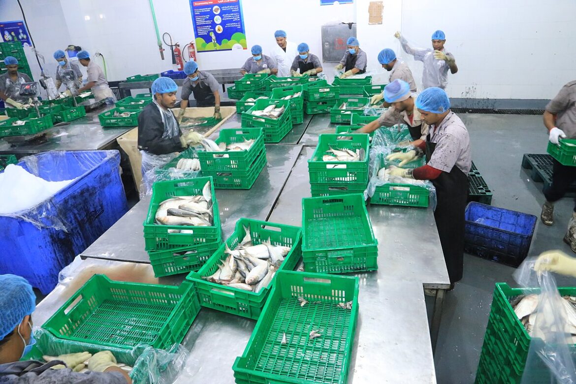 Duqm_Fish_Industries_Complex (1)