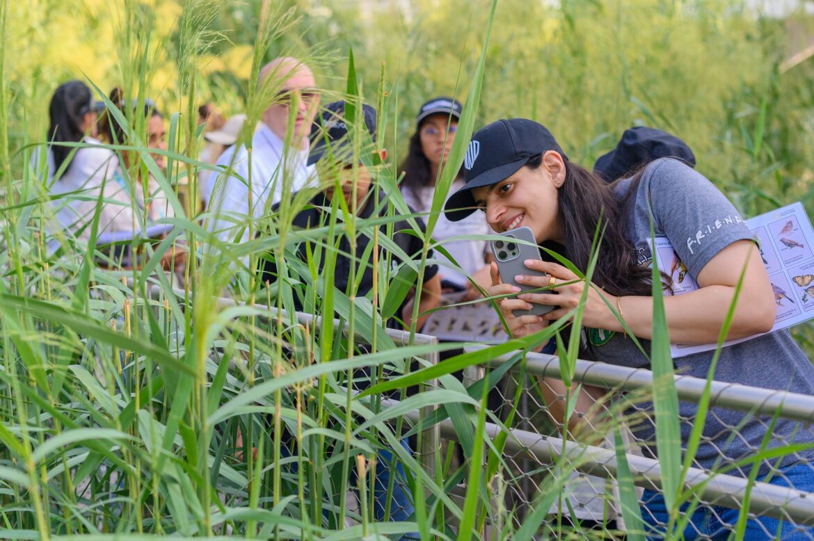 Terra Expo City Dubai hosts the global City Nature Challenge-8